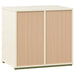 Evren Twin Loft Bed
