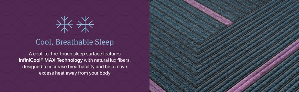 Beautyrest World Class Level Four Plush Mattress