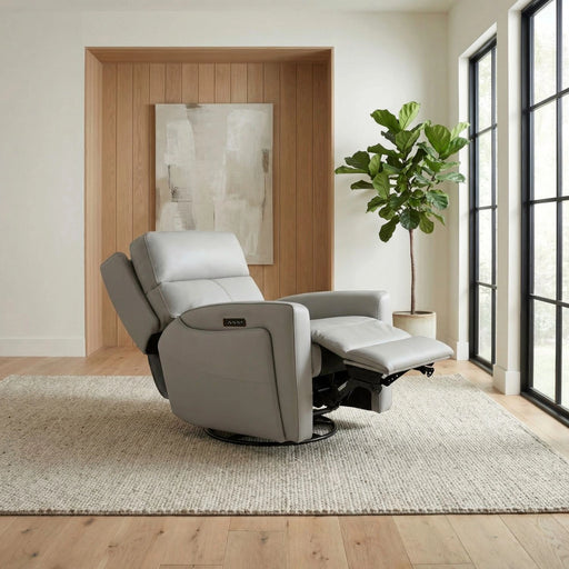 Chase SG Recliner P3 & ZG image