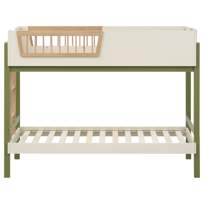 Evren Bunk Bed