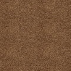 Bolsena Sofa Sleeper - Furniture Warehouse Direct (Victoria, TX)