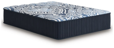 Firm Luxe 2.0 Mattress - Furniture Warehouse Direct (Victoria, TX)