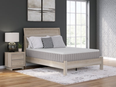 Terra Sleep Medium Mattress - Furniture Warehouse Direct (Victoria, TX)