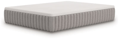 Terra Sleep Soft Mattress - Furniture Warehouse Direct (Victoria, TX)