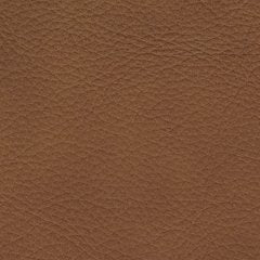 Magic Man 5-Piece Power Reclining Sectional - Furniture Warehouse Direct (Victoria, TX)