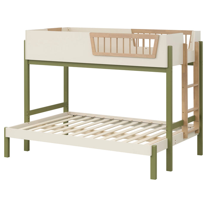 Evren Bunk Bed