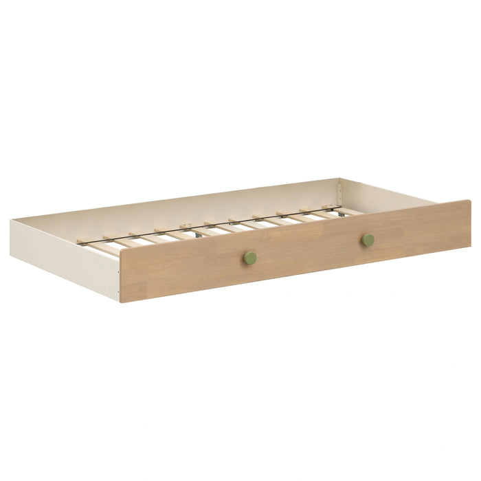 Evren Bunk Bed