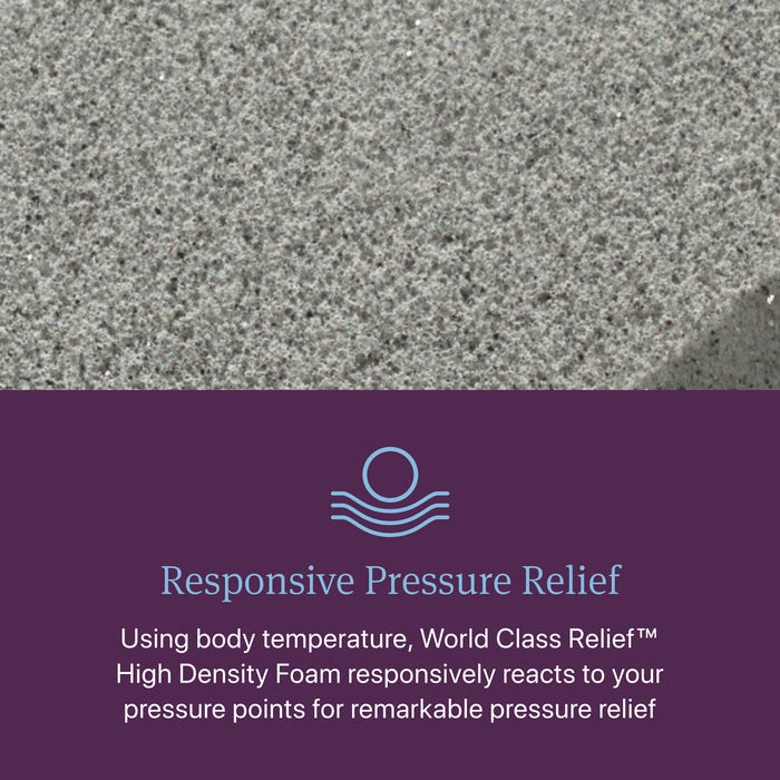 Beautyrest World Class Level Three Plush Mattress