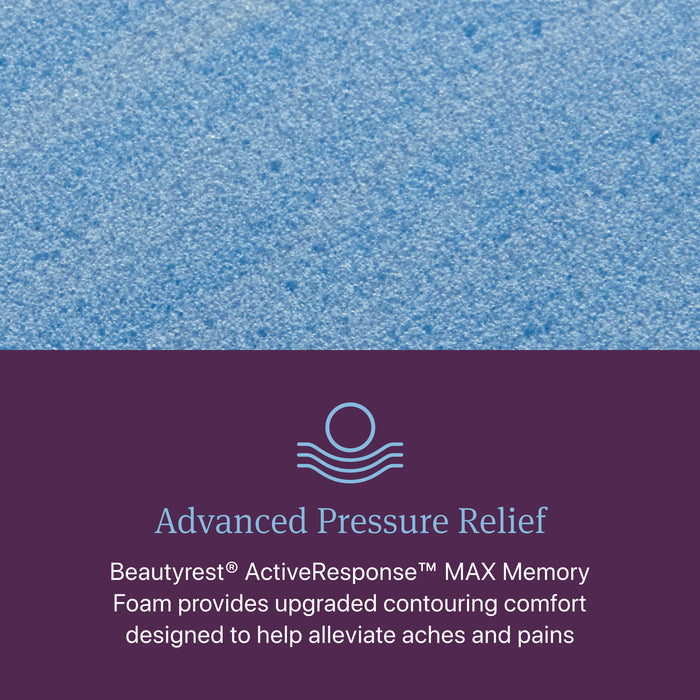 Beautyrest World Class Level Four Plush Mattress